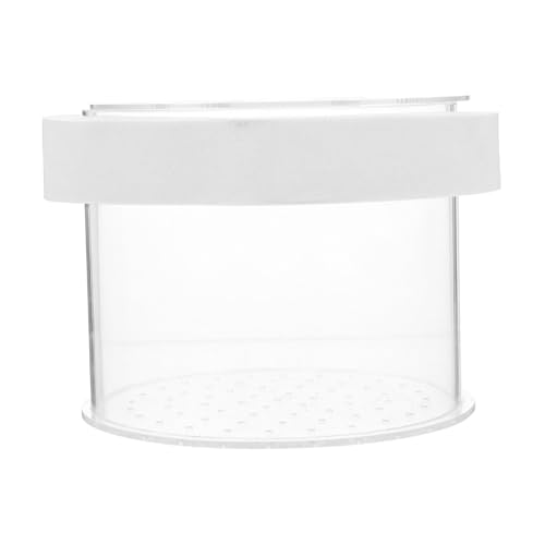 Amosfun 4er-Box Isolationsbox Für Aquarien Betta-Aquarium Baby-Aquarium Inkubator Zum Laichen Von Fischen Zuchtbecken Für Aquarien Probenbehälter Für Aquarien Aquariumzubehör Acryl Teiler von Amosfun