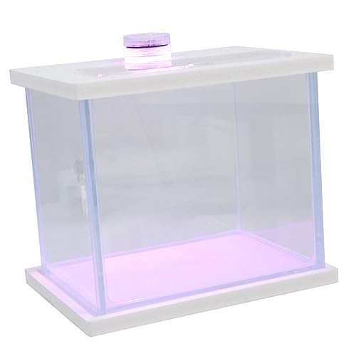 Amosfun Aquarium hochzeitsdeko hochzeits Dekoration Aquarienset aus Glas winziges Fischbecken Mini-Terrarium Mini-Accessoires einfacher Fischbehälter Tankzubehör Multifunktion schmücken von Amosfun