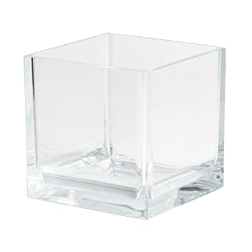 Amosfun Mini-Aquarium Mini-Terrarium Aquarium Mini Schale Fischbecken Anfänger-Aquarium Glasbehälter Schildkröten-Terrarium Transparenter Goldfischbeckenhalter Desktop-Goldfischbecken von Amosfun