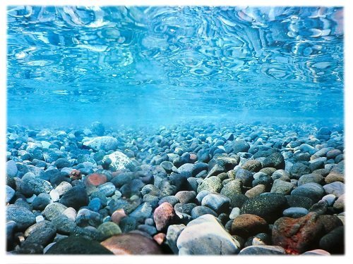 Amtra Croci Rückwandfolie 130 cm x 45 cm Aquarien Rückwand Hintergrund Dekoration Poster von Amtra Croci