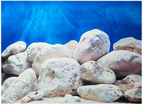 Amtra Croci Rückwandfolie 80 cm x 45 cm Aquarien Rückwand Hintergrund Dekoration Poster von Amtra Croci