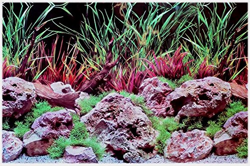 Amtra Croci Rückwandfolie 80 cm x 45 cm Aquarien Rückwand Hintergrund Dekoration Poster von Amtra Croci