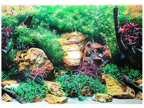 Amtra Croci Rückwandfolie 80 cm x 45 cm Aquarien Rückwand Hintergrund Dekoration Poster von Amtra Croci