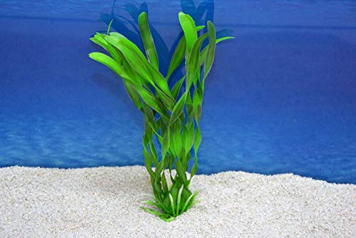 Amtra Valisneria M 20cm künstliche Pflanze Dekoration Aquarium von Amtra