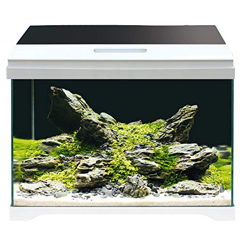 Croci Amtra MODERN Tank 50 LED - Aquarium komplett mit LED-Beleuchtung und Innenfilter/cm 50,5x25,5x40 / 40 Liter von Amtra