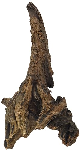 Croci Amtra A8047548 Mystic Wood, 25 - 30 cm von Amtra