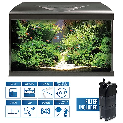 Amtra Acquario System Tank V2 – 60 Liter komplettes Glasaquarium, 9 Watt LED-Licht und Filterpumpe inklusive, Süß- oder Salzwasser, Schwarz, 60 x 32 x 42 cm von Amtra