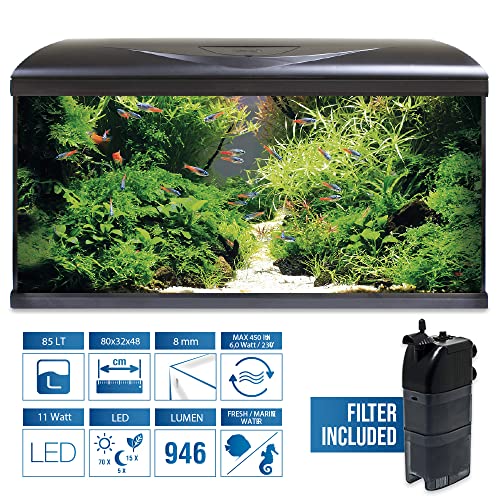 Amtra Acquario System Tank V2 – 85 Liter komplettes Glasaquarium, 11 Watt LED-Licht und Filterpumpe inklusive, Süß- oder Salzwasser, Schwarz, 80 x 32 x 48 cm von Amtra