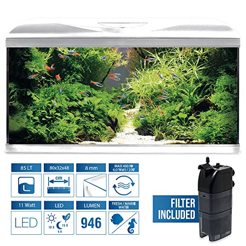 Amtra Acquario System Tank V2 – Komplettes Glasaquarium 85 Liter, 11 Watt LED-Licht und Filterpumpe inklusive, Süß- oder Salzwasser, Weiß, 80 x 32 x 48 cm von Amtra