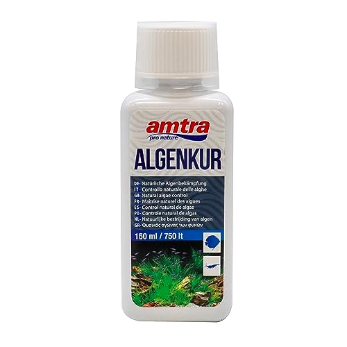 Amtra Algen-Kur – Algenbekämpfung im Süßwasseraquarium, Aquariumflüssigkeit, natürliche Algenbekämpfung in Süßwasseraquarien, 150 ml von Amtra