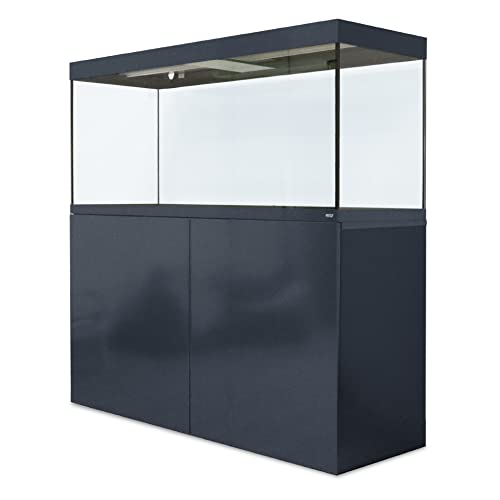 Amtra Alux 330 Led Grey Combi - 330L professionelles Glasaquarium mit Deckel und Holzgehäuse, für Süß- und Salzwasserfische, Profi-Set, graue Farbe von Amtra