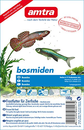 Amtra Bosmiden Blister 10x100g (1kg) von Amtra