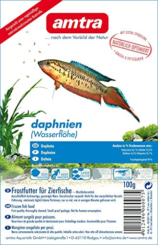 Amtra Daphnien Wasserflöhe Blister 10x100g (1kg) von Amtra