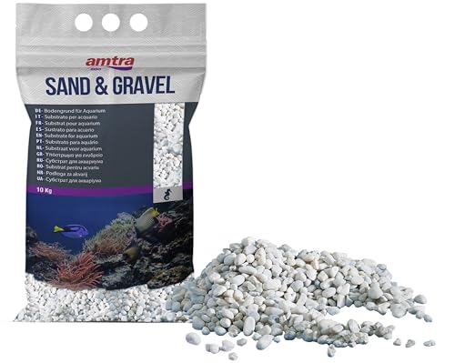 Croci Amtra Gravel Noa - Naturaquarienkies, Dekoboden, weiße grobe Körnung 4-8 mm, Größe 10 kg von Amtra