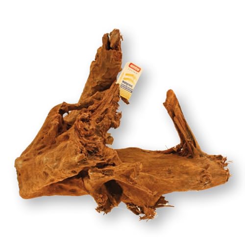 Amtra Mangrovia Holz - Größe S 20-40 cm, Naturholzdekoration für Aquarien, Naturstamm Ornament, Dekoration für Terrarien von Amtra