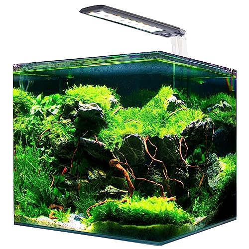 Amtra NANOTANK System 20 - Glasaquarium komplett mit LED-Licht und Filter/cm 25x25x30 / 18 Liter von Amtra