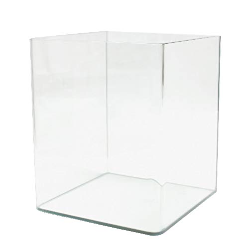 Amtra Nanotank 30 - Aquariumbecken 30 Liter - Glaskasten extra klar 30 x 30 x 35 cm - Becken für Goldfische oder als Schildkrötenbecken für Wasserschildkröten mit stoßdämpfender Matte inklusive von Amtra