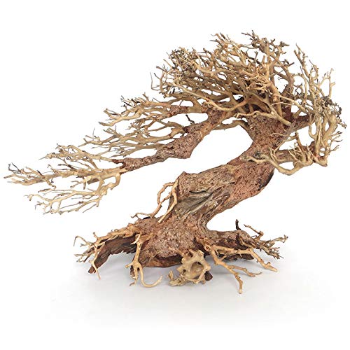 Amtra - Oriental Wind 3 Holz, handgefertigt, für Aquarien, 30X13X23 cm von Amtra