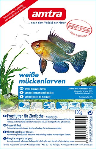 Amtra Weiße Mückenlarven Blister 10x100g (1kg) von Amtra