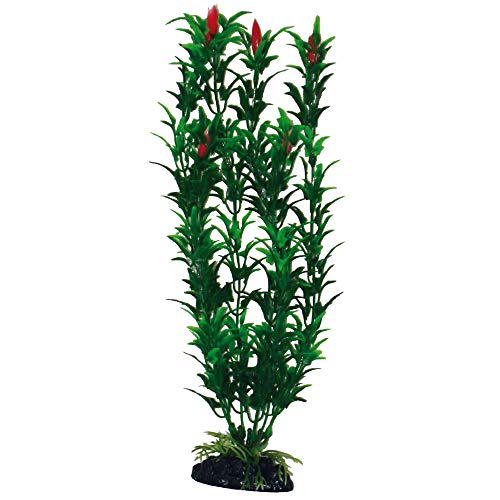 Wave A8011254 Plant Classic Egeria, 27 cm von Amtra