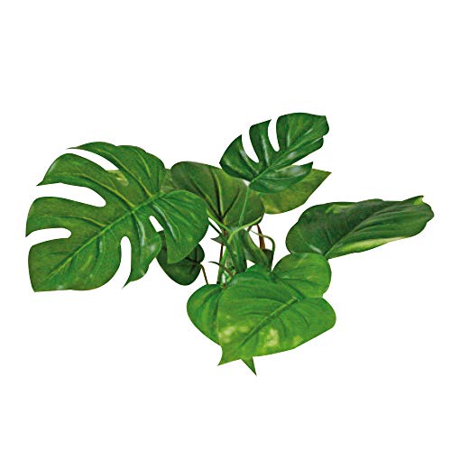 Wave A8011400 Plant Replica Anubi, 15 cm von Amtra