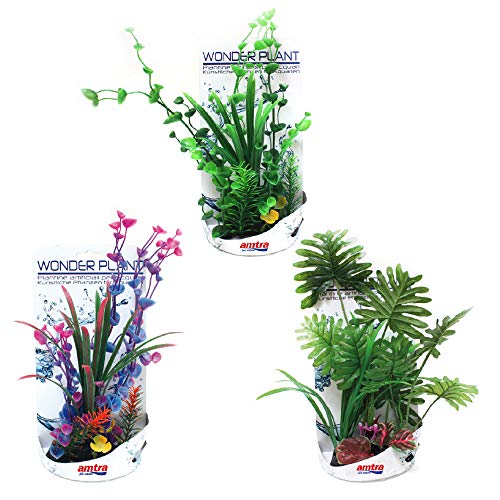 Wave A8011609 Wonder Plant Series H, 30 - 35 cm von Amtra