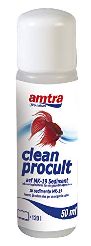 amtra clean procult 50ml von Naisee