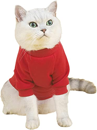 Haustierpullover – Haarlose Katze Baumwolle T-Shirts Haustier Kleidung – Pullover Kätzchen T-Shirts mit Ärmeln – Katzen & kleine Hunde Bekleidung (Rot, Medium) von AnHome