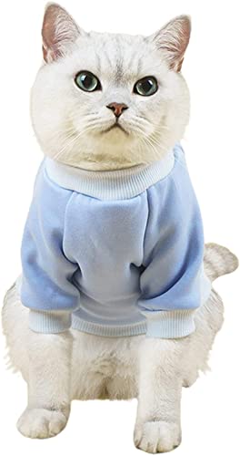 Haustierpullover – Haarlose Katzen-T-Shirts aus Baumwolle – Pullover Kätzchen T-Shirts mit Ärmeln – Katzen & kleine Hunde Bekleidung (blau, klein) von AnHome