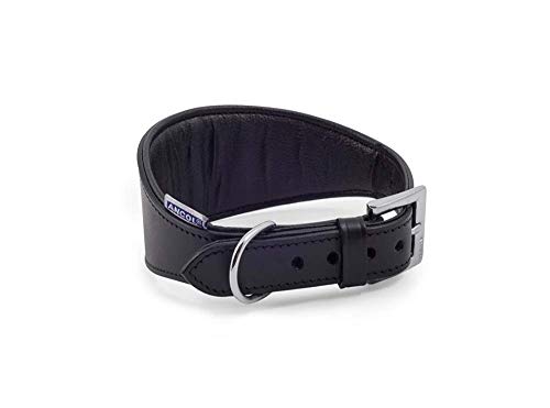 Ancol, gepolstertes Windhund-Halsband aus Leder, 35 cm, Schwarz von Ancol