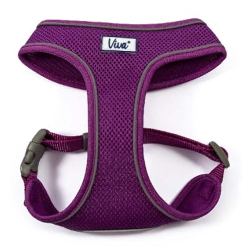 Ancol Viva Hundegeschirr, bequem, reflektierend, atmungsaktiv, Netzgewebe, 44-57 cm, Größe M, Violett von Ancol