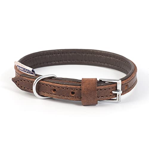 Ancol Strapazierfähiges Vintage-Halsband, gepolstert, Leder, Kastanienbraun, Haustier-Trainingszubehör, 26–31 cm, Größe 2 von Ancol