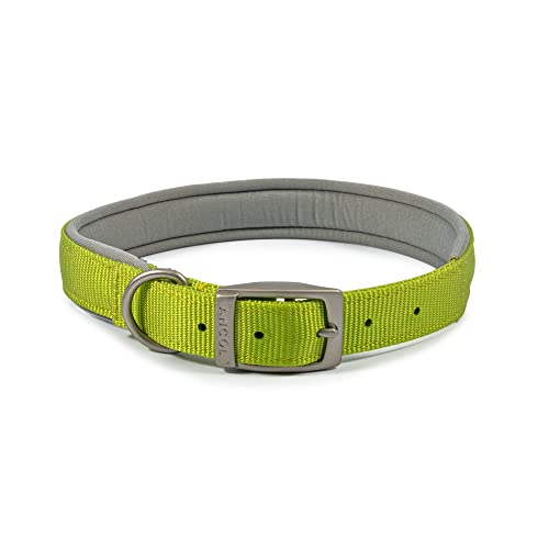 Ancol Gepolstertes Viva-Halsband mit Schnalle, Limette, 45-54 cm, Größe 6 L von Ancol