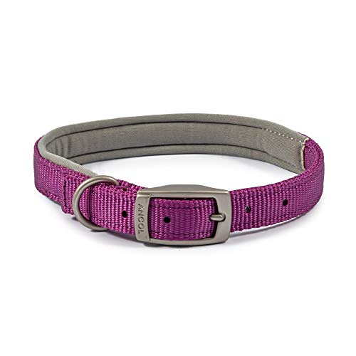 Ancol Gepolstertes Viva Halsband mit Schnalle, lila, 35-43 cm, Größe 4 von Ancol