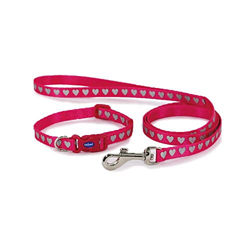 Ancol Halsband und Leine, reflektierend, für kleine Hunde und Welpen, rosa Herzen von Ancol