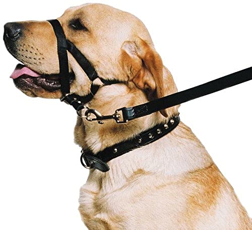 Ancol Hunde-Trainingshalfter, Halsband - Medium, Schwarz - Zugentlastung und Kopfdrehung bei Leinenzug - Nylon - für Erwachsene Hunde von Ancol