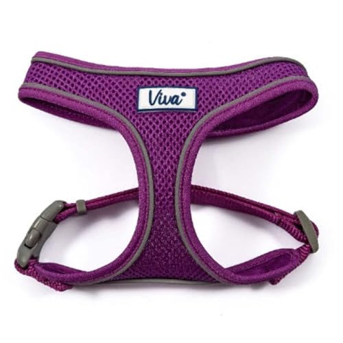 Ancol Viva Hundegeschirr, bequem, reflektierend, atmungsaktiv, Netzgewebe, 28–40 cm, Größe XS, Violett von Ancol