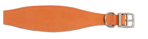 Ancol Lederhalsband für Whippets, 30-34 cm, Hellbraun von Ancol