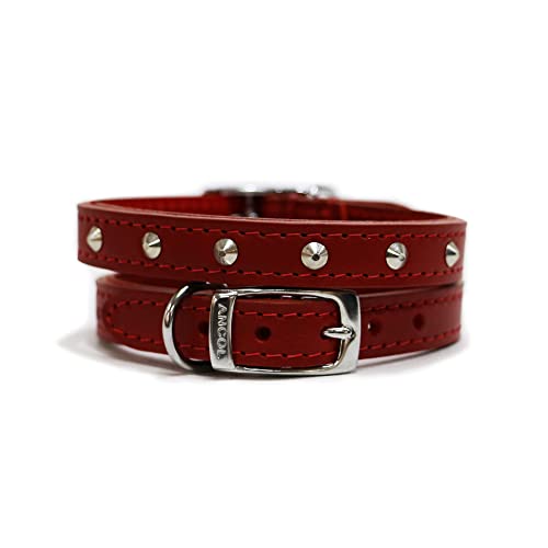 Ancol Lederhalsband mit Nieten, rot, 39-48 cm, Größe 5 von Ancol