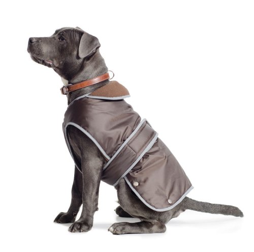 Ancol Stormguard Dog Coat - Chocolate Small 12" x 1 von Ancol