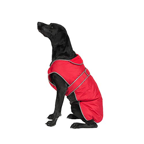 Ancol Stormguard Allwetter-Hundemantel, Größe S, 25 cm lang, passend für 48-54 cm, Mohnrot von Ancol