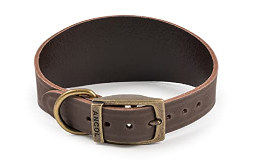 Ancol Timberwolf Leder-Halsband für Windhunde, Größe 34–43 cm, Braun von Ancol