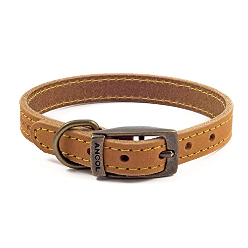 Ancol Timberwolf Hundehalsband, bequem, langlebig, Leder, Senffarben, Trainingszubehör, 28–36 cm, Größe 3 von Ancol