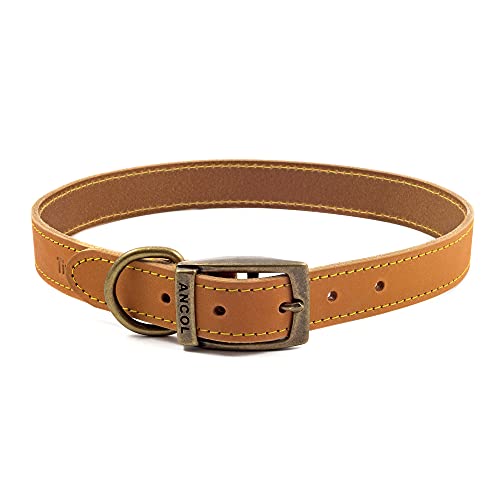 Ancol Timberwolf Hundehalsband aus Leder, bequem, langlebig, Senf, Haustier-Trainingszubehör, 45–54 cm, Größe 6 von Ancol