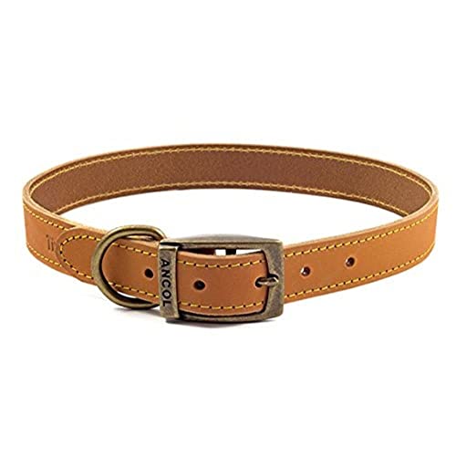 Ancol Timberwolf Hundehalsband aus Leder, 55–63 cm, Senf von Ancol