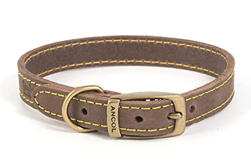 Timberwolf Leder-Halsband von Ancol