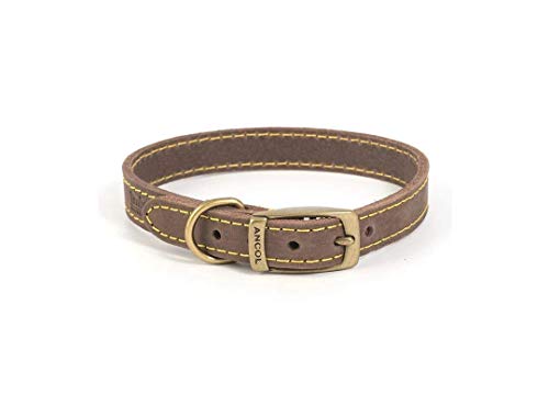 Ancol Timberwolf Leder Hundehalsband, Large, Sable von Ancol