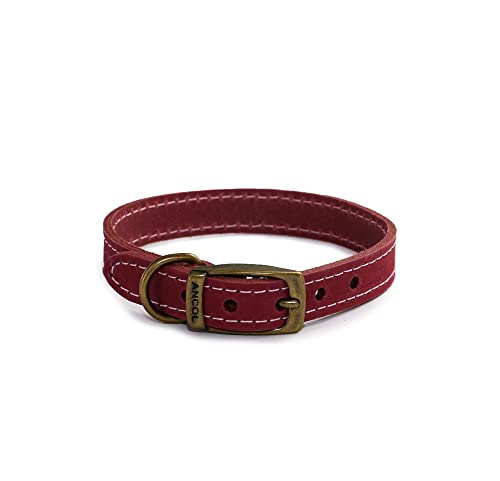 Ancol Timberwolf Lederhalsband, Himbeere, 20-26 cm, Größe 1 von Ancol