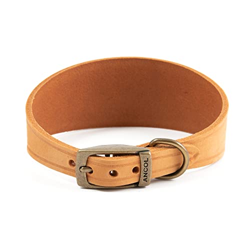 Ancol Timberwolf Whippet-Halsband, Leder, senffarben für Halsumfang 30–34 cm von Ancol