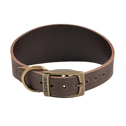 Ancol Timberwolf Leder-Whippet-Halsband, passend für Halsumfang von 30–34 cm von Ancol